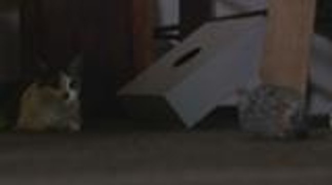 Entoy, makakatakas na nga ba sa kamay ni Fiona