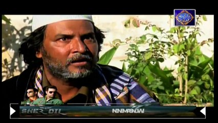 Mehmoodabad Ki Malkain Episode 49 & 50 - 6th May 2019