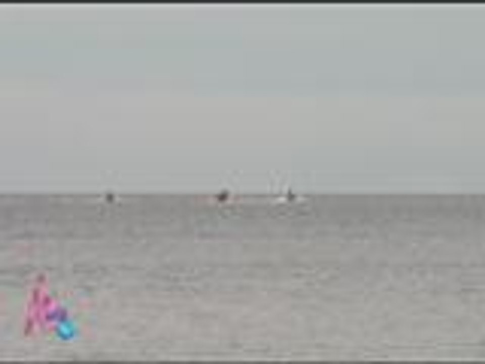 Erich enjoys beach rides with Josh & Bimby