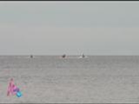 Erich enjoys beach rides with Josh & Bimby