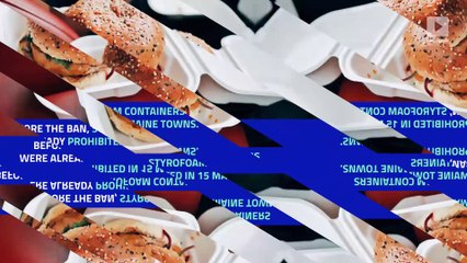 Maine Becomes First State to Ban Styrofoam