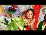 Nimiya Ke Gachiya - Aail Bahar Navratar Ke - Dheeru Ji - Bhojpuri Devi Bhajan Geet 2015