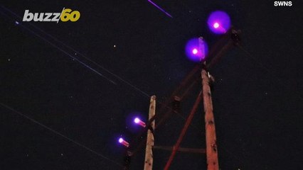 Mounting UV Lights On Power Lines Could Prevent Birds From Colliding Into Them: Study