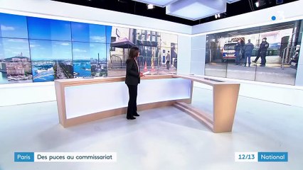 Paris : un commissariat ferme suite à une invasion de puces