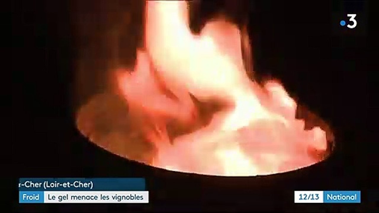 Froid : les vignobles menacés par le gel