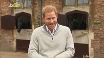 Prince Harry Reacts to Son's Arrival, Instagram (Blue) Hearts the Royal Baby