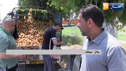 تجارة: شاحنات "الهربيل" .. ملجأ ذوي الدخل المحدود هروبا من نار الأسواق في رمضان