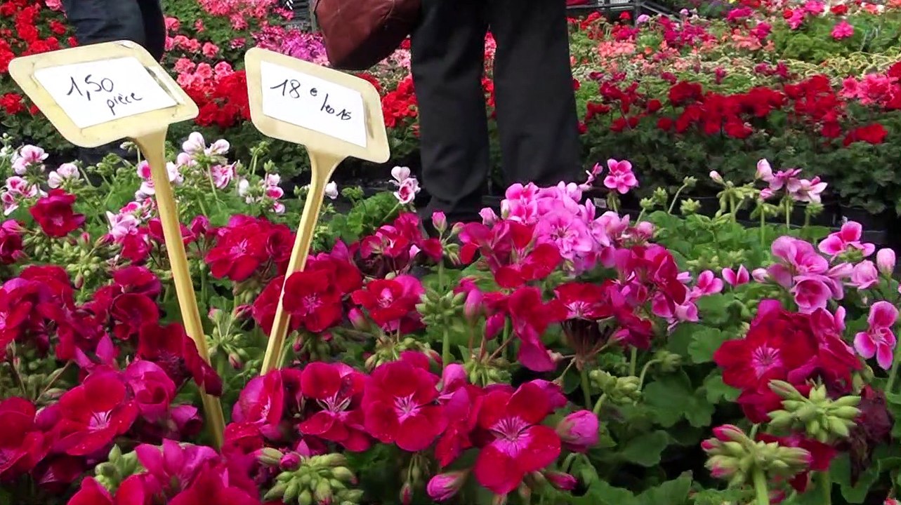 inauguration fête des geraniums 2019