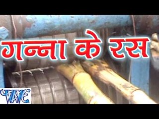 गन्ना के रस || Sammer Singh || Ganna Ke Ras || Bhojpuri Hit Songs 2015 new