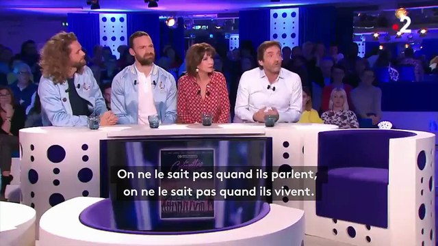 Il y a les homos et les gays : les propos de Pierre Palmade font polémique