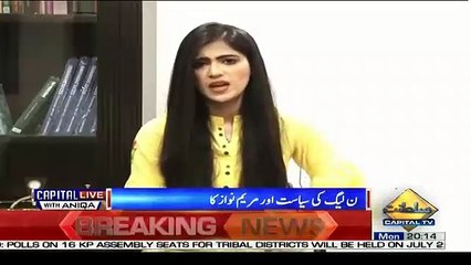 Is Waqt PMLN Ko Samajh Nahi Arahi Hai Ke Wo Karen Kia.. PJ MIR