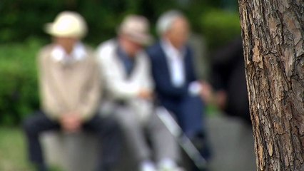 기초생활보장 사각지대 30% 넘어...새로운 종합 대책 필요 / YTN