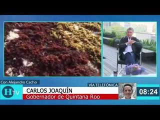 Quintana Roo pide apoyo para combatir sargazo