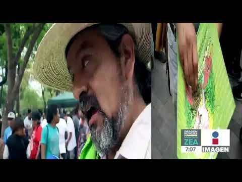Marchan por la legalización de la marihuana en la Ciudad de México | Noticias con Paco Zea