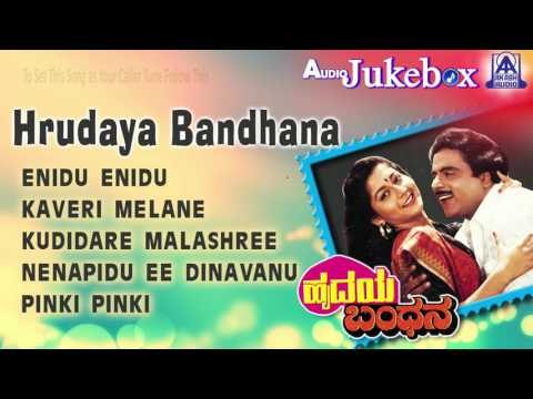 Hrudaya Bandhana I Audio Jukebox I Ambareesh,Sudharani I Akash Audio