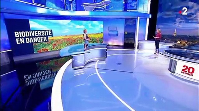 Biodiversité : un million d'espèces menacées