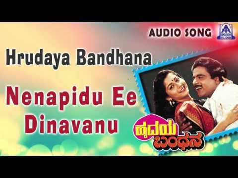 Hrudaya Bandhana | Nenapidu Ee Dinavanu Audio Song | Ambareesh,Sudharani | Akash Audio