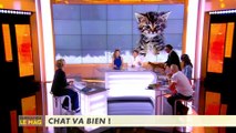 20H le mag - L'Info du Vrai du  - L'info du vrai, le mag - CANAL+