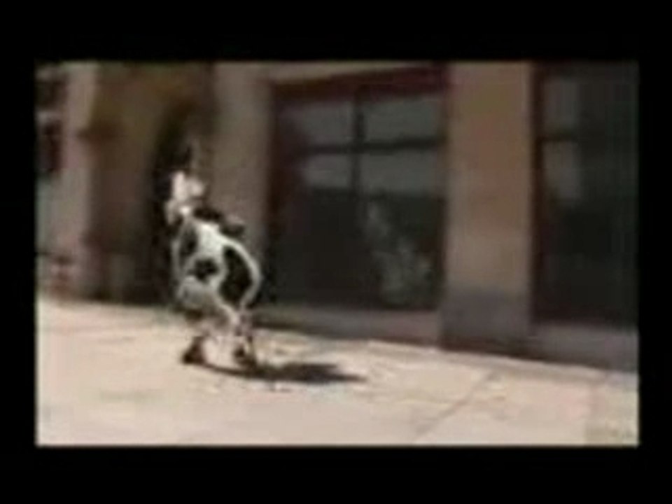 Vache folle.I like to move it