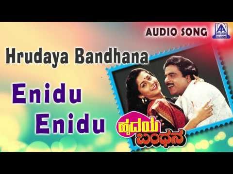Hrudaya Bandhana | Enidu Enidu Audio Song | Ambareesh,Sudharani | Akash Audio