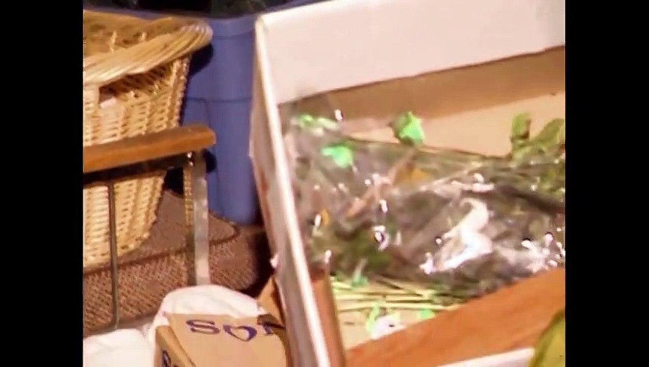 Under Arrest S03 E02 "Drunk Puppet"