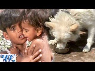 Bhojpuri Sad Songs 2019 - दूध रोटी कुकुरा खाता बबुआ छटपटाता - Sugi - Master Sami