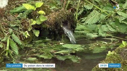 Côte-d'Or : un village vit sans eau potable depuis deux ans