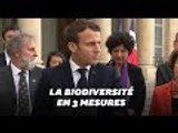 Les trois mesures d'Emmanuel Macron pour la biodiversité