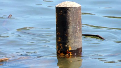 Just thought it was cool