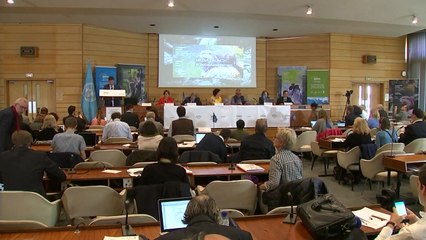 "지구 동·식물 800만 종 가운데 100만 종 이상 멸종위기" / YTN