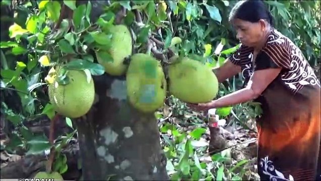 Village des Aliments - Cuisson Jacquier Curry dans mon Village par ma Maman