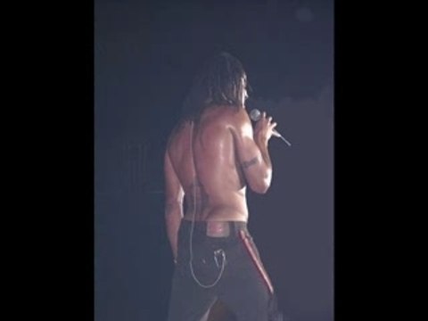 Yannick Noah mon idole mon reve allé le voir en concert