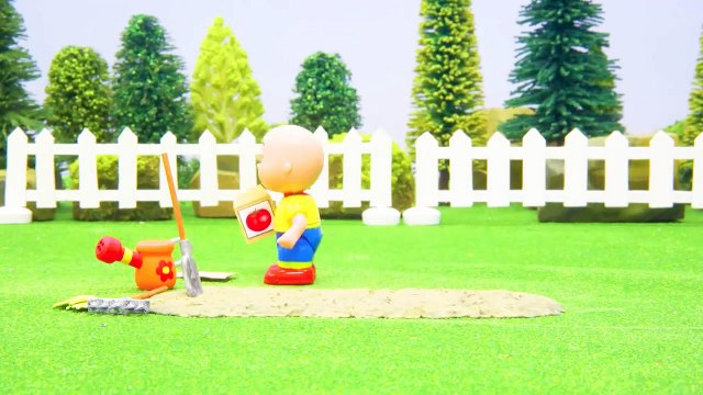 Kajtus po polsku nowe odcinki | Kajtus i piłka nożna | Nowy specjalny odcinek Kajtusia