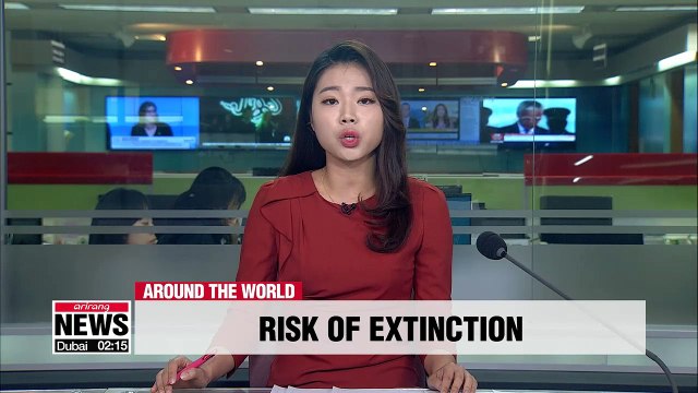 One million species at risk of extinction, with humans accelerating its speed: UN report
