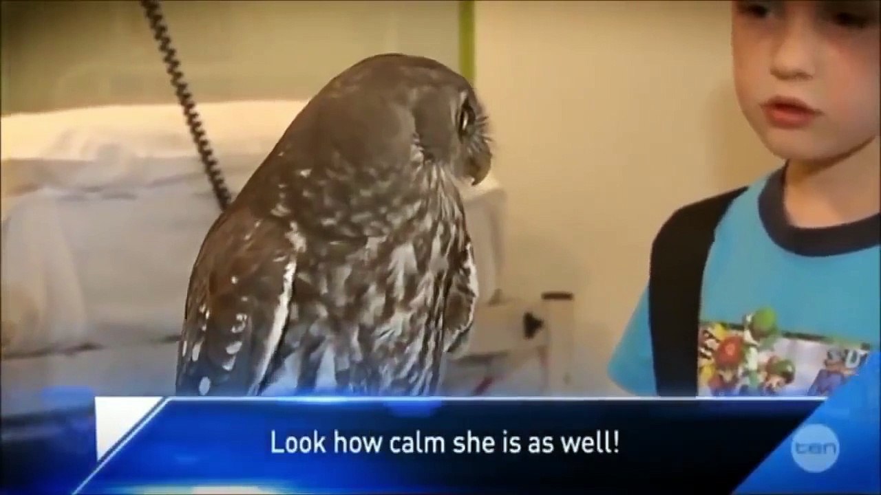 Top_Funny_Memes_#49