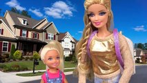 Barbie & Chelsea Overnight Challenge in Kens Closet ! Hiding 24 HOUR Challenge