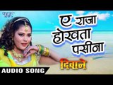 ऐ राजा होखता पसीना - Ae Raja Hokhata Pasina - Deewane - Chintu - Seema Singh - Bhojpuri Item Song