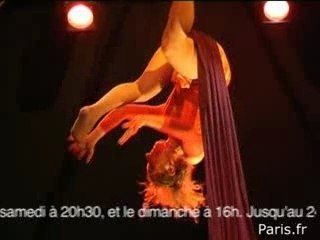 Le drôle de monde du cirque du Grand Céleste