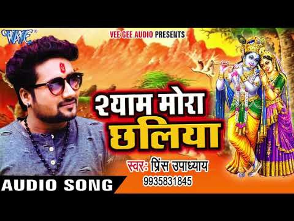 श्याम मोरा छलिया - Shyam Mora Chhaliya - Prince Upadhaya - Krishan Bhajan 2017