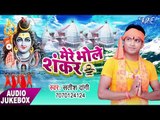 सुपर हिट कांवड़ भजन 2017 - Mere Bhole Shankar || Satish Dangi || Bhojpuri Kanwar Bhajan 2017