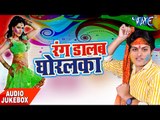 NonStop होली गीत 2017 - Rang Dalab Ghoralka - Rahul Ranjan - Audio JukeBOX - Bhojpuri Hit Holi Songs