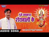 2017 का हिट देवी गीत - Gunje Jaikara Sherawali Ke - Pramil Pandey - Audio Jukebox