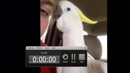 If you laugh, you lose videos of laughter