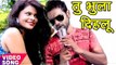 NEW दर्द भरा बेवफाई गाना 2017 - तू भूला दिहलू - Tu Bhula Delu - Titu Remix - Bhojpuri Sad Songs