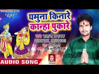 यमुना किनारे कान्हा पुकारे - Veena Se Sargam Baje - Balaji Vinayak - Hindi Krishan Bhajan