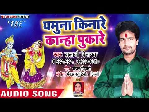 यमुना किनारे कान्हा पुकारे - Veena Se Sargam Baje - Balaji Vinayak - Hindi Krishan Bhajan