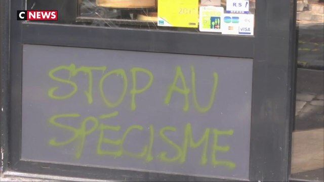 Boucheries : quelle défense contre les anti-spécistes ?