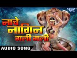 2017 Ka नया सबसे हिट गाना - Priyanka Pandit - Nache Nagin Gali - Bhojpuri Hit Song 2017