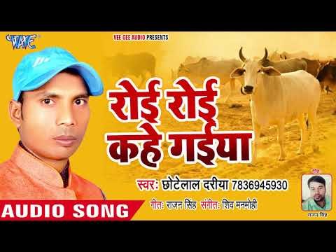 Chhote Lal Dariya सुपरहिट भजन 2018 II Roi Roi Kahe Gaiya II Gau Mata Ki Pukar II 2018