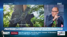 La chronique d'Anthony Morel : Protéger la biodiversité grâce à la technologie - 07/05